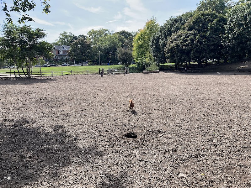 Withrow Park: Unleashed Dog Area dog park