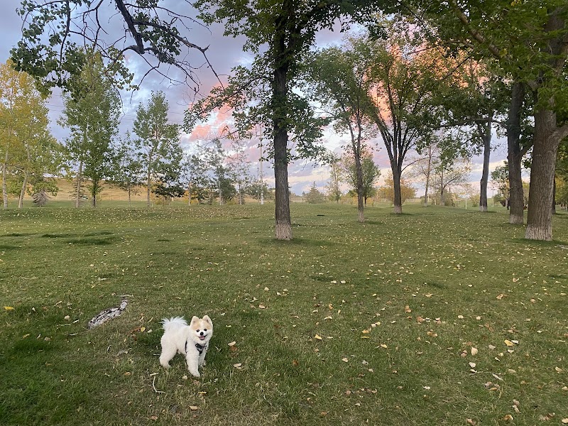 Collingwood Dog Park dog park