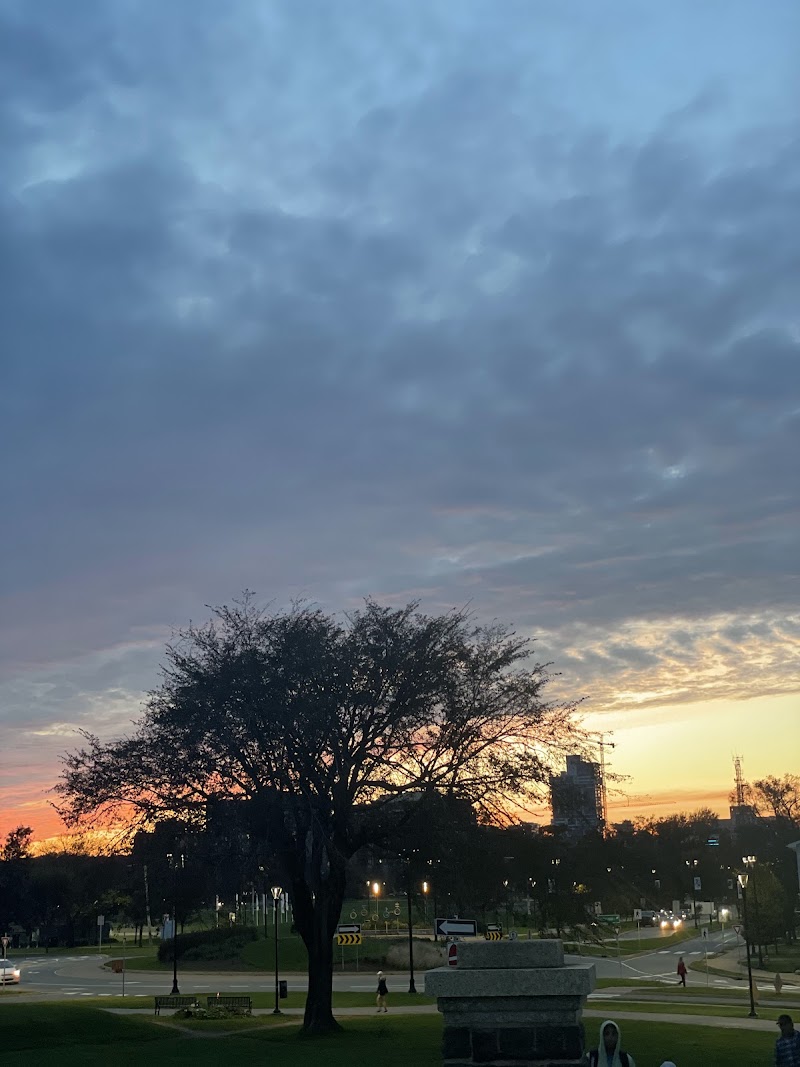 Citadel Hill Off-Leash Dog Park dog park