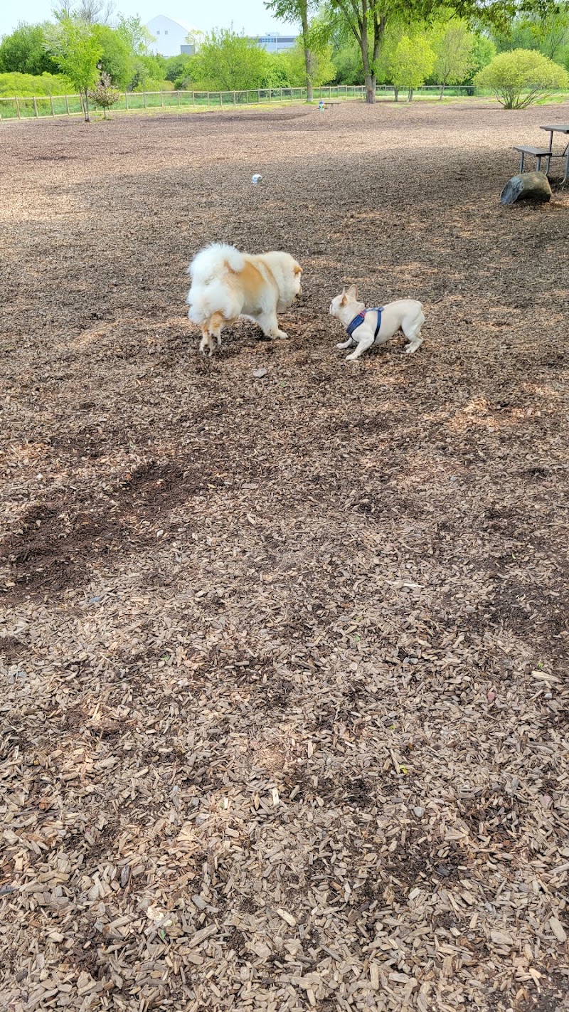 Canine Commons dog park