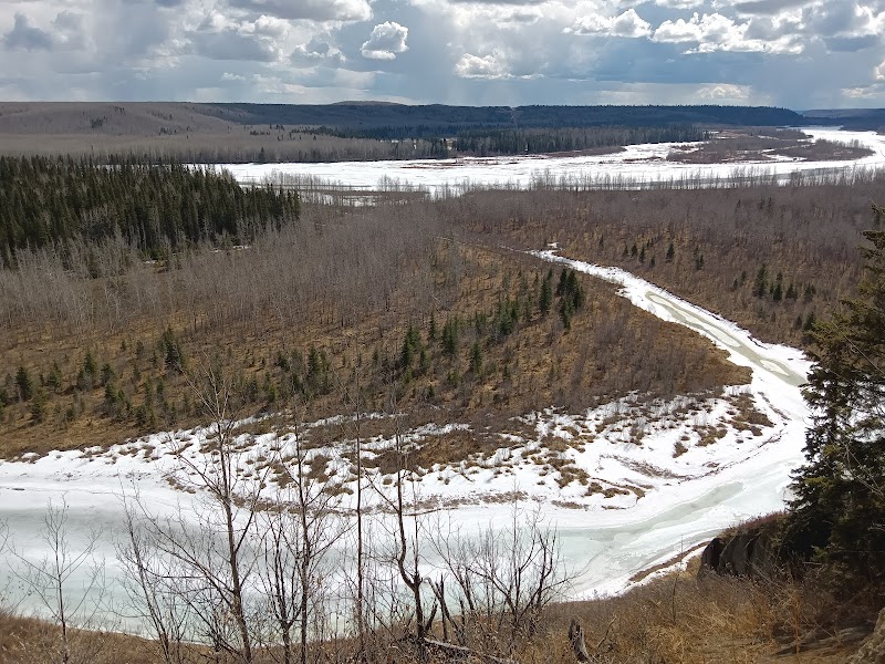ARC Bark Park-Off Leash Dog Park dog park