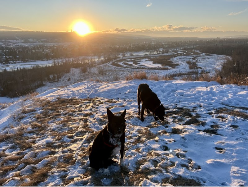 Varsity / Bowmont off leash park dog park