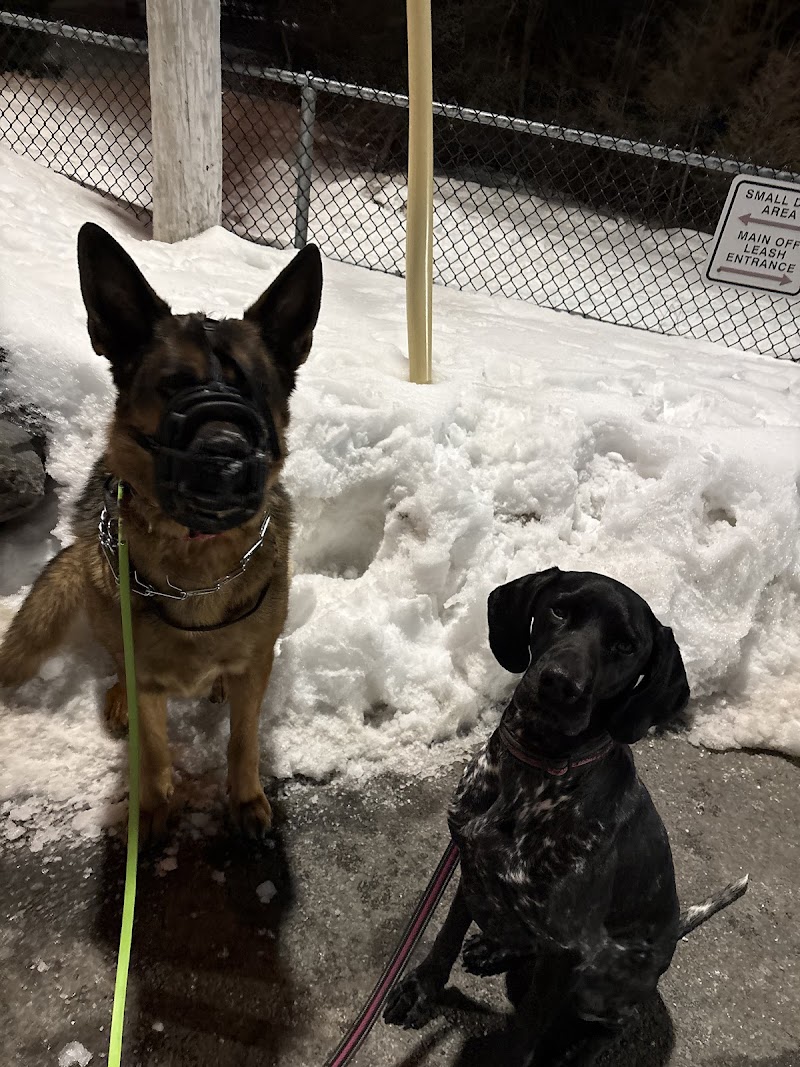 Mainland Common Off-Leash Park dog park
