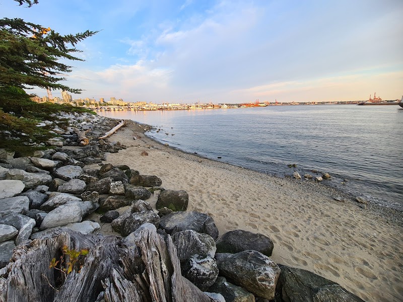 Kings Mill Dog Park - Off-Leash Area dog park