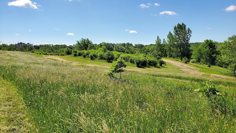 Bechtel Dog Park dog park