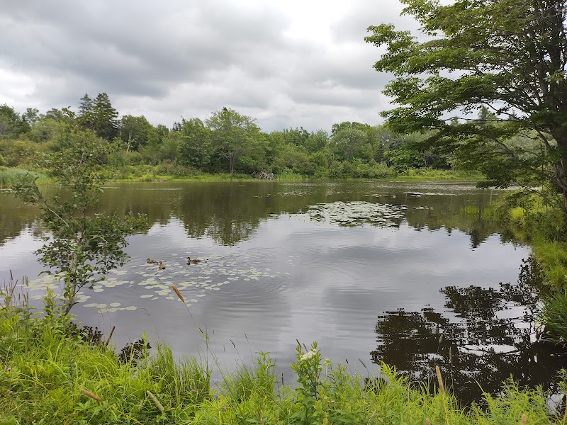Rotary Park Off Leash Park dog park