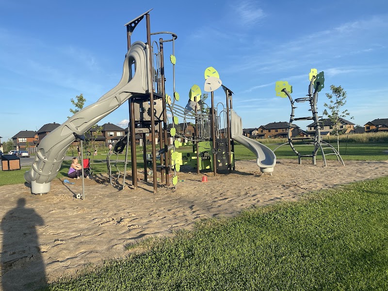 Parc du ruisseau Chelsea dog park