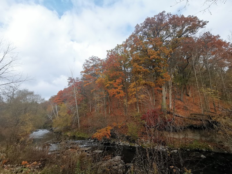 Old Kingston Rd Parkette & Dog Park — fenced dog park in Toronto