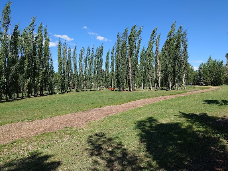 Silver Springs off-leash park dog park