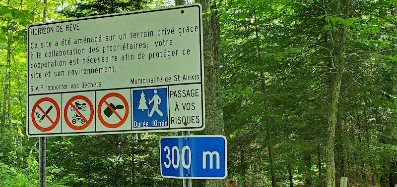 The Dog Kingdom dog park