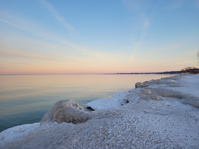 Oakes Road North Leash-Free Dog Park dog park