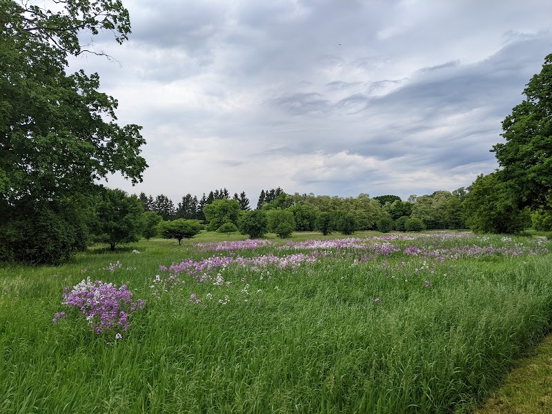 Kiwanis Dog Park dog park