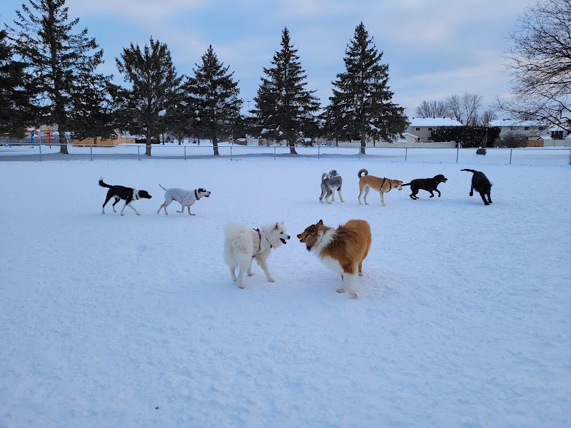 Big Bird Park dog park