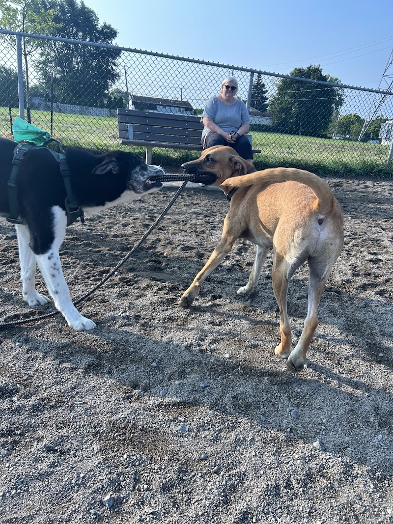 Payer dog park dog park