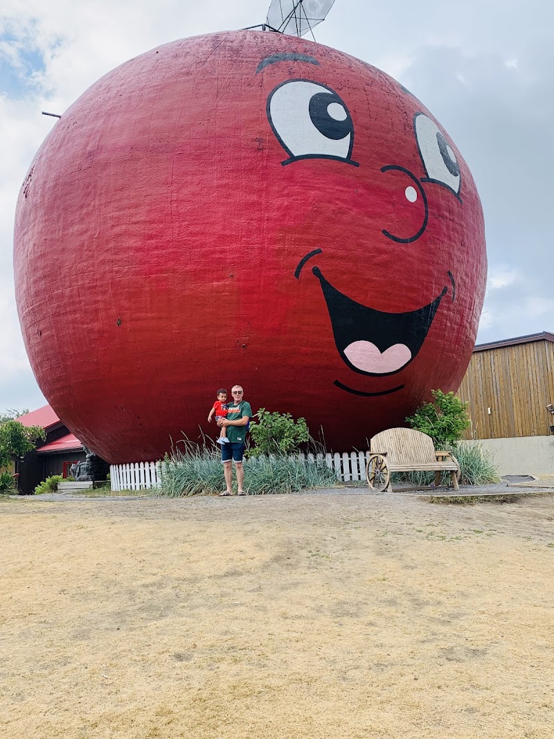 Dog Park at The Big Apple dog park