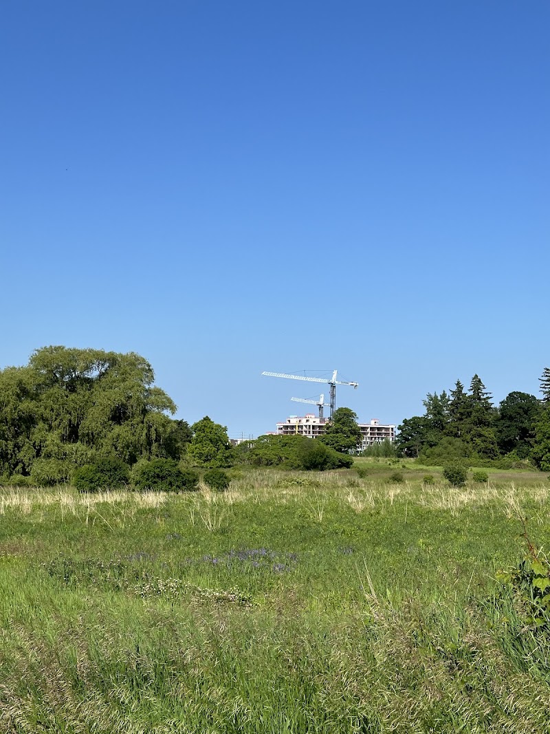 Bronte Creek Leash-free Dog Park dog park