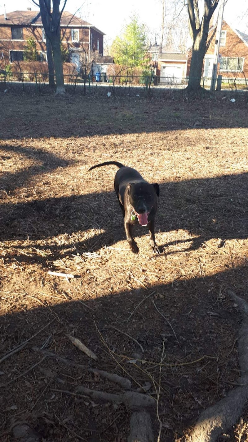 Confederation Park dog park dog park