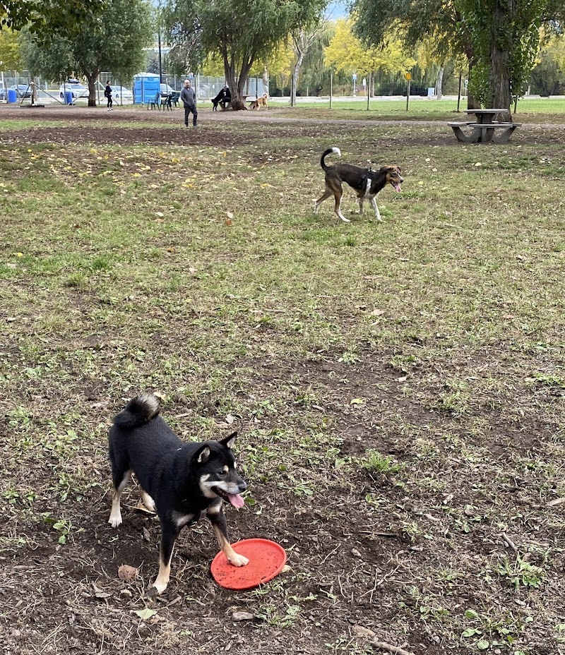 Mission Dog Park dog park