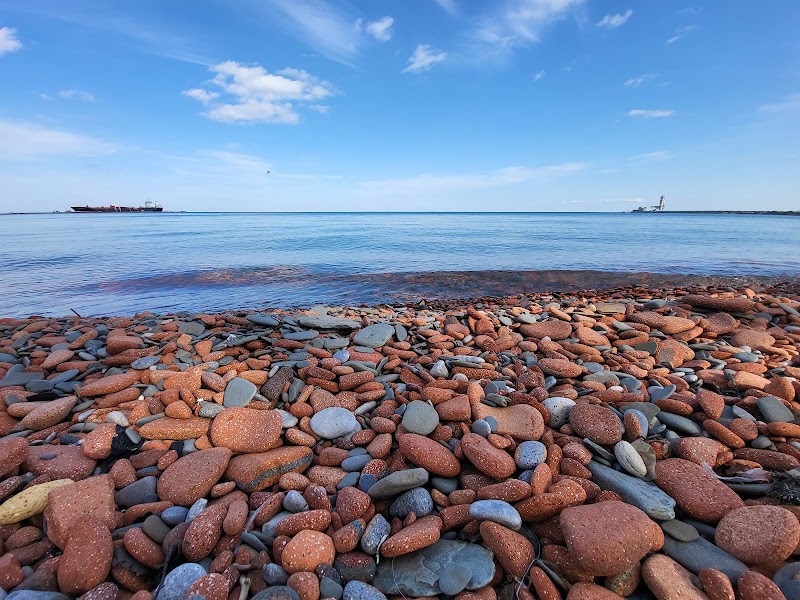 Lakeside Dog Park dog park