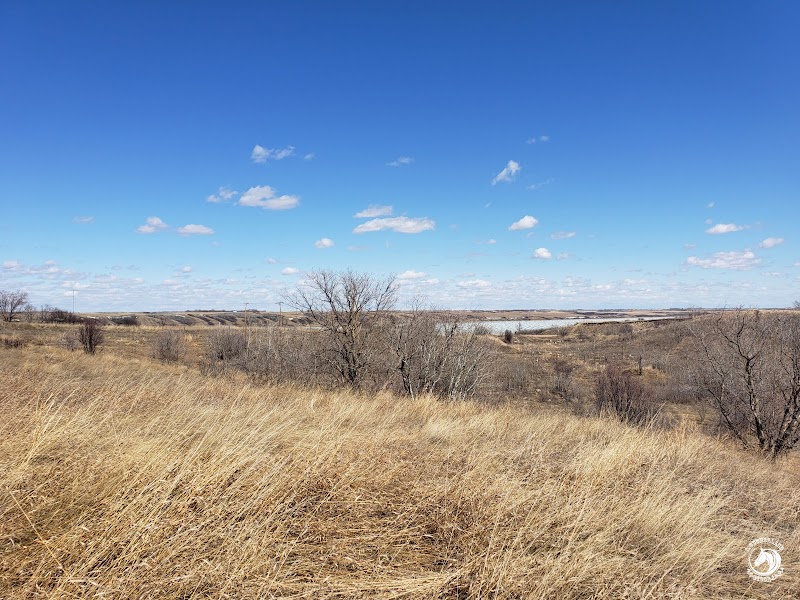 Manitou Beach Dog Park dog park