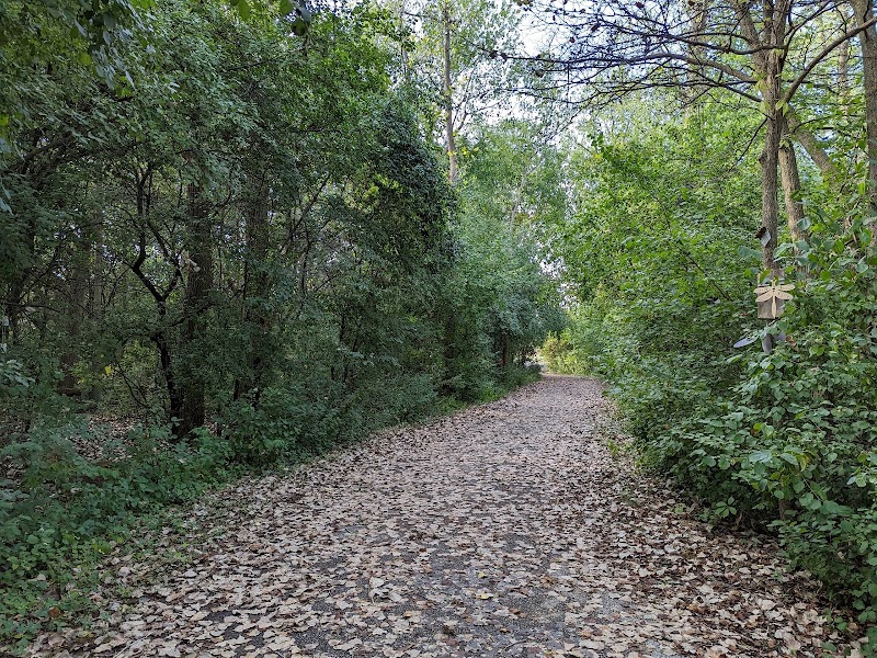 Elizabeth Kishkon Dog Park dog park