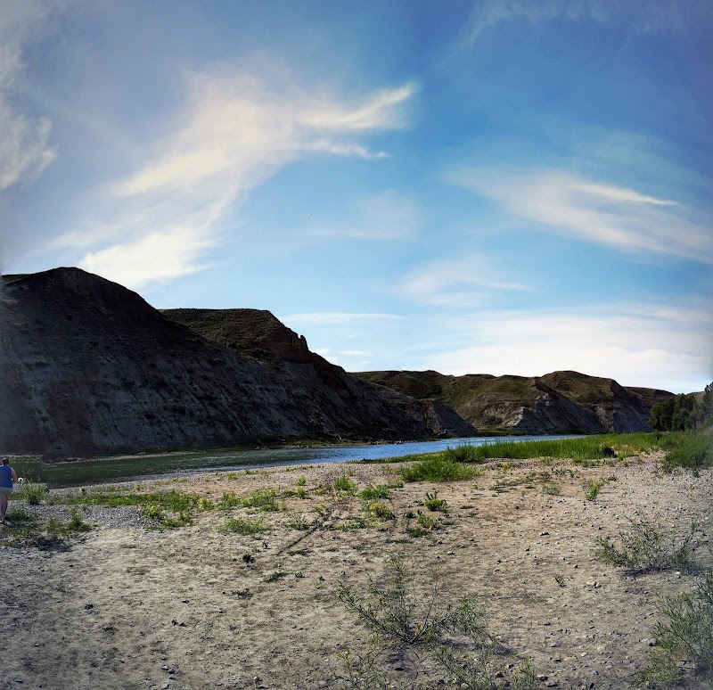 Popson Park dog park