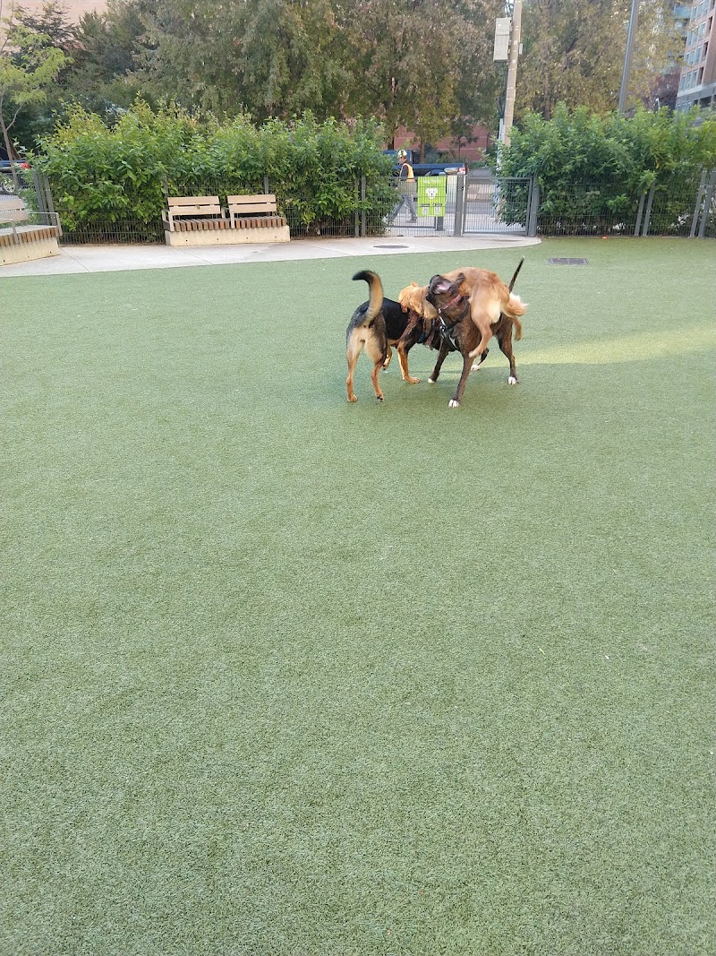 Breadalbane Park dog park