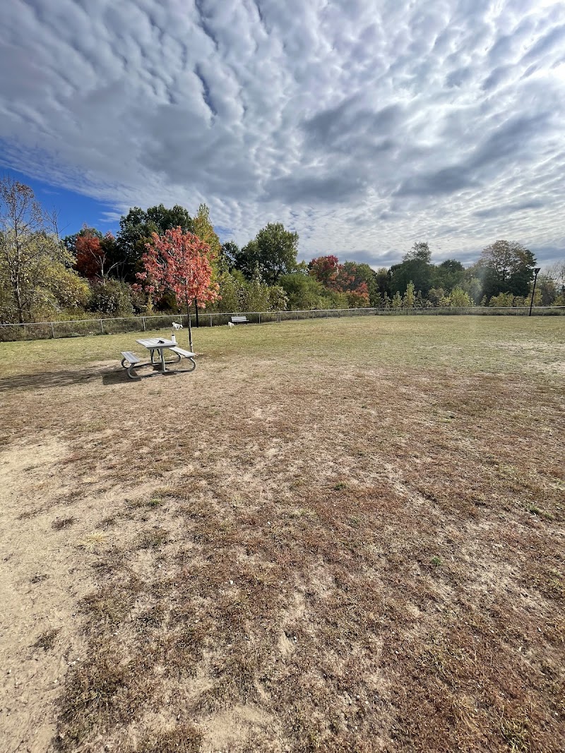 South Courtice Dog Park dog park