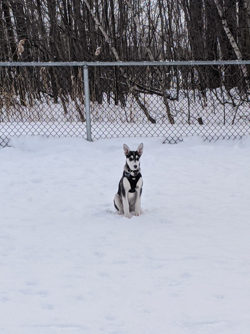 Des Bruants dog park dog park