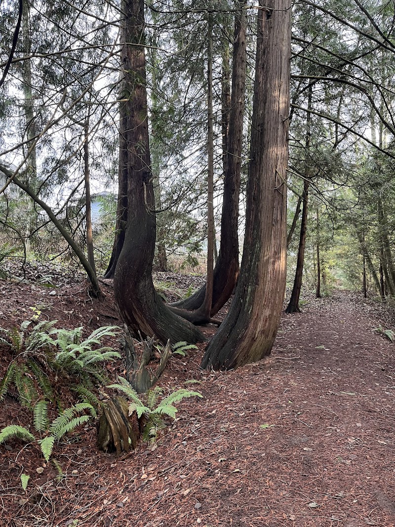 Cougar Canyon Environmental Reserve dog park