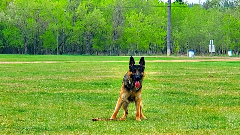 Fritz Field dog park