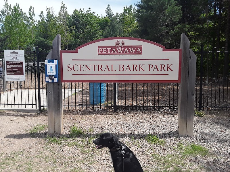 Scentral Bark Park dog park
