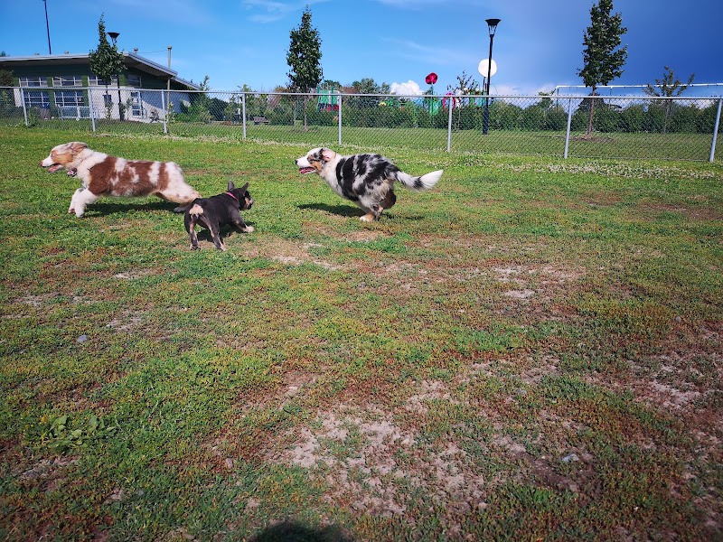 Félix-Leclerc Park dog park dog park