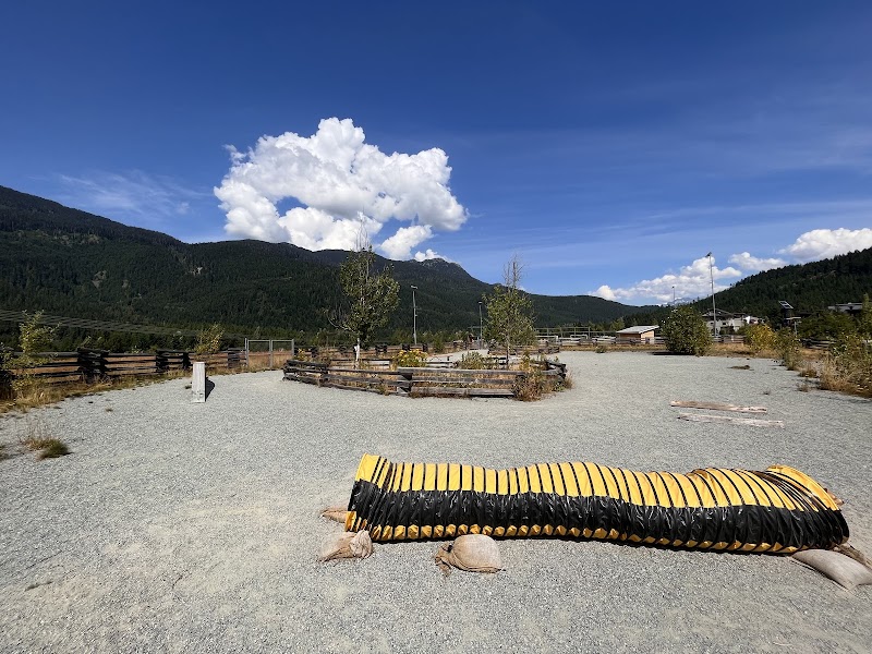Bayly Park Dog Off-Leash Area dog park