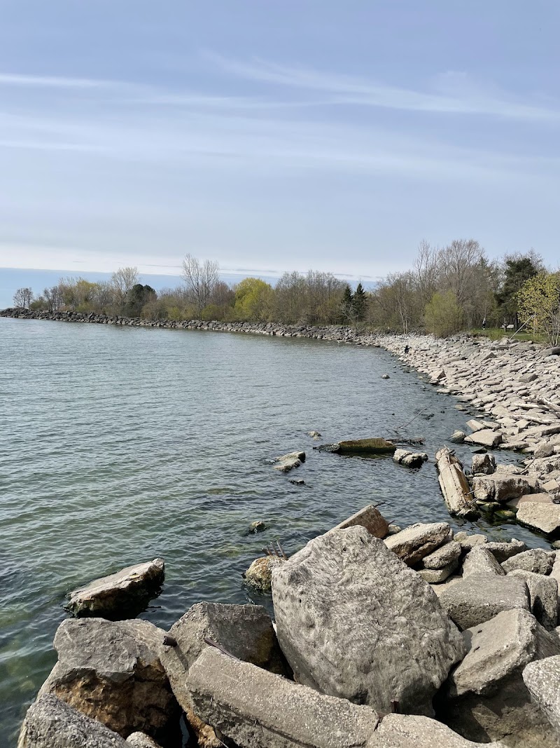 Kew Gardens Dog Park dog park