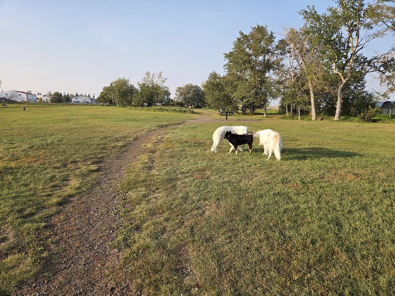 Town Of Strathmore Dog Park dog park
