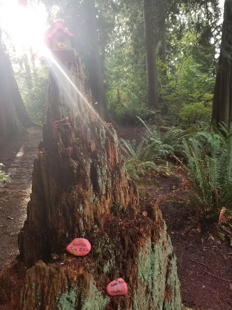 Malvern Off-Leash Dog Area dog park