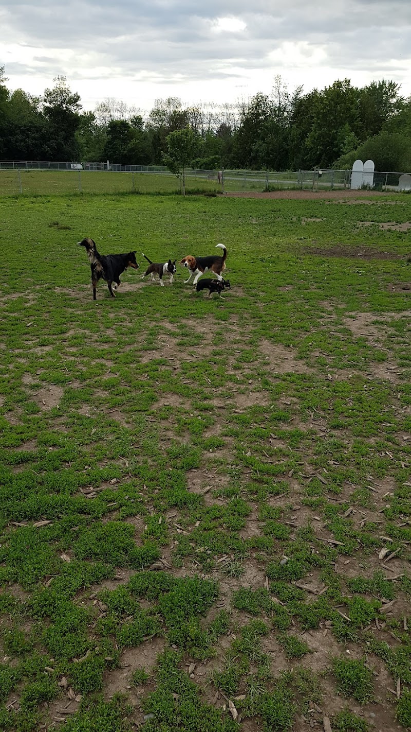 Peterborough Dog Club Off-leash Dog Park dog park