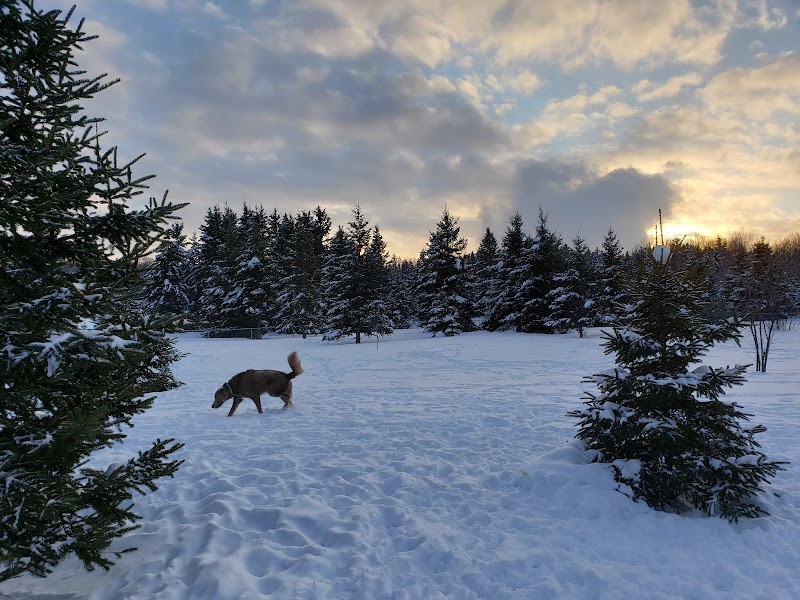 Strathclair Dog Park dog park