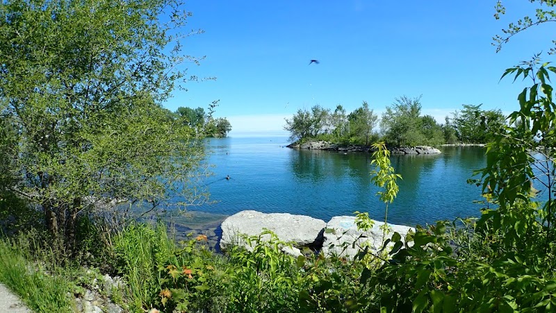 Humber Bay Park West Dog Park dog park