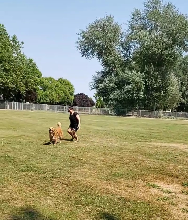 Steveston Dog Off Leash Area dog park