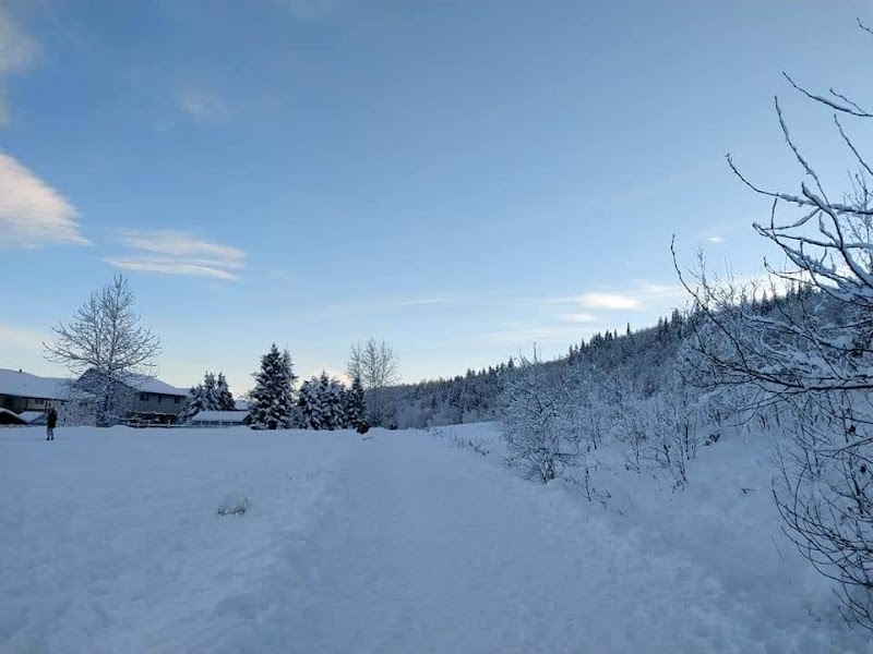 Ginter's Meadow dog park