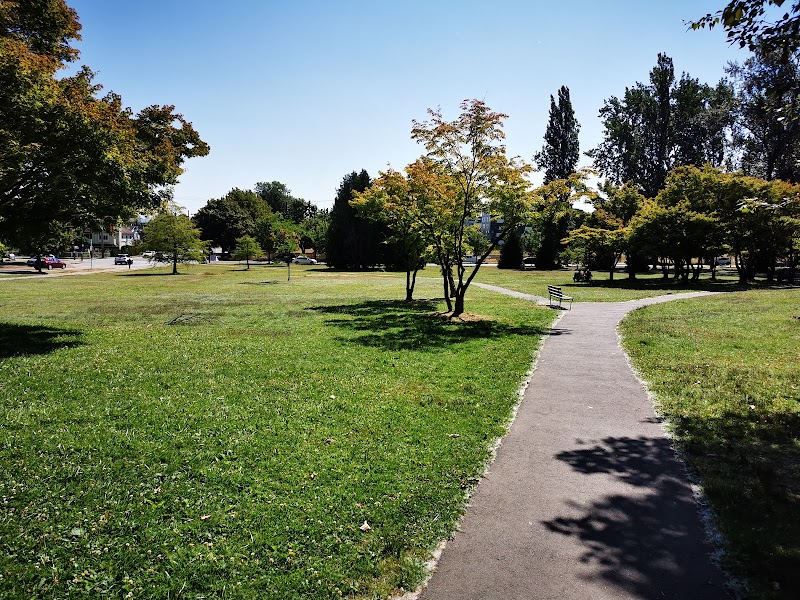 Queen Elizabeth Dog Off-Leash Area dog park