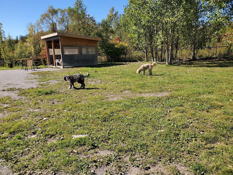 Minnow Lake Dog Park dog park