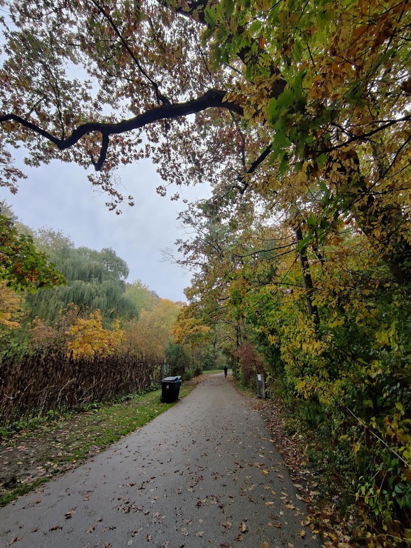 High Park Dog Off Leash Area dog park