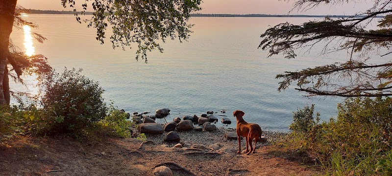 Madge Lake Dog Beach dog park