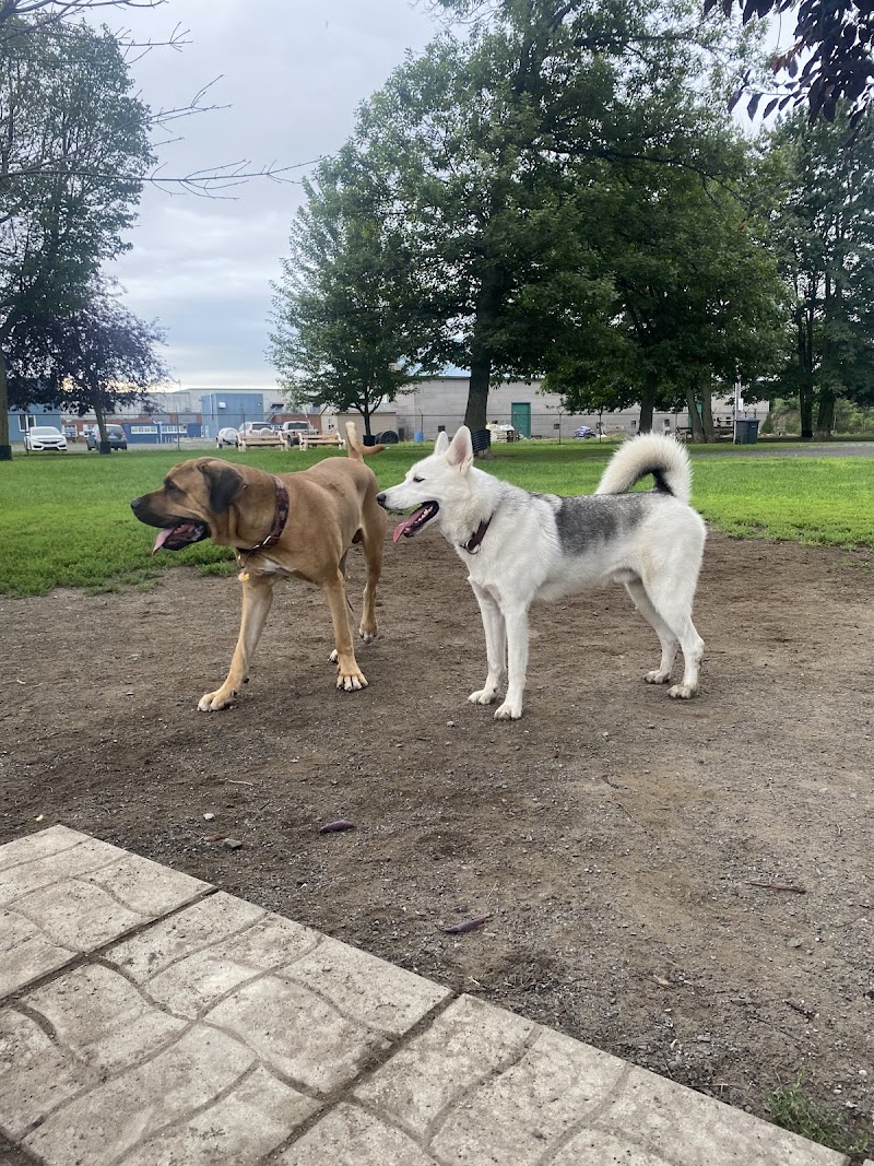 Drummondville Dog Park dog park