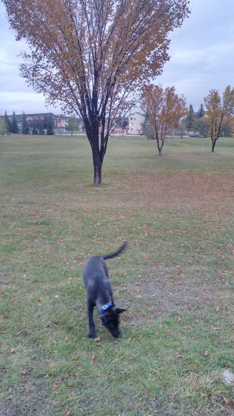 Coach Hill Off-leash Dog Park dog park