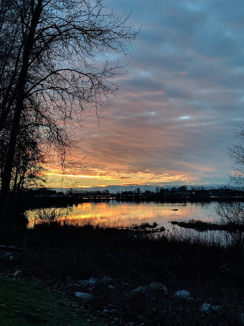 Tannery Park Dog Off-leash Area dog park