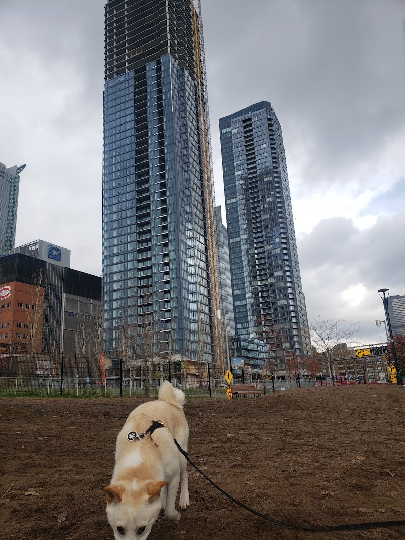 Lucien-L'Allier dog park dog park